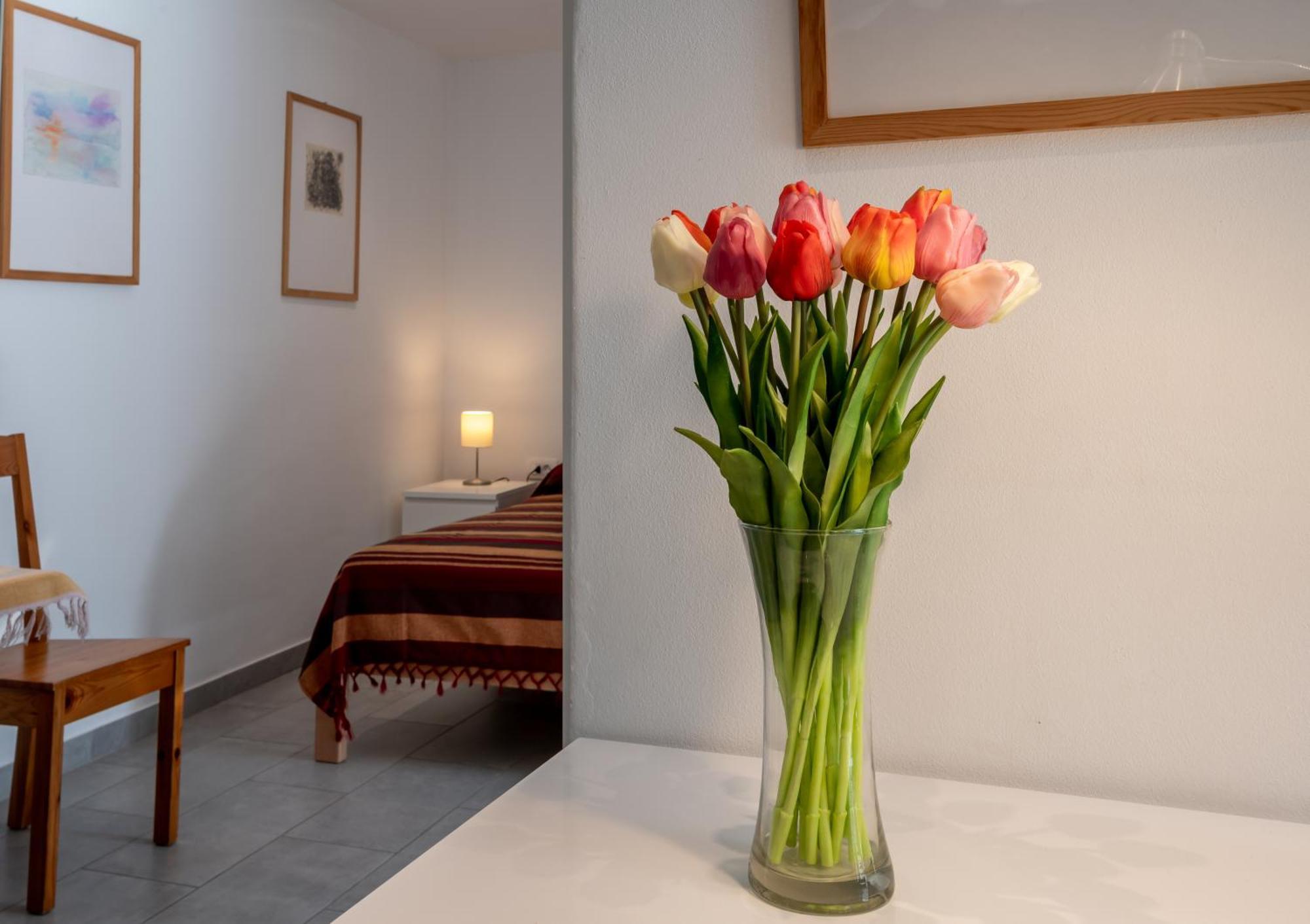 Draga BašćanskaRelax House Rosemaryアパートメント エクステリア 写真